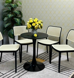 THONET NHỰA PP ĐÚC NHẬP KHẨU