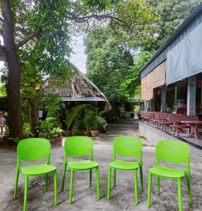 Ghế Nhựa Đúc DPS8