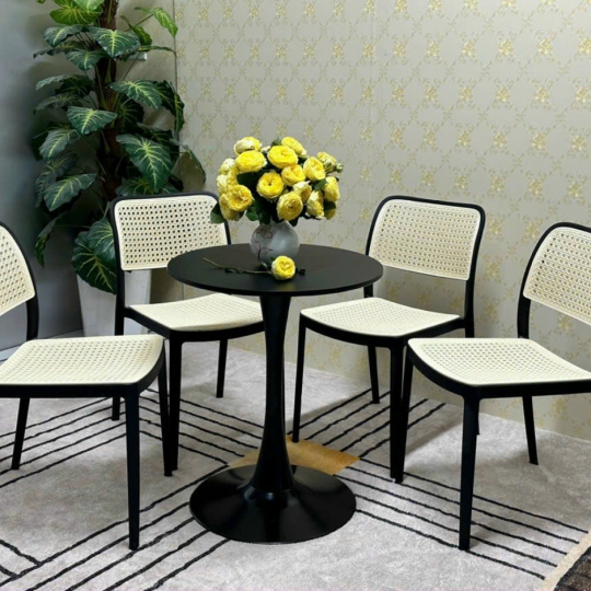 THONET NHỰA PP ĐÚC NHẬP KHẨU