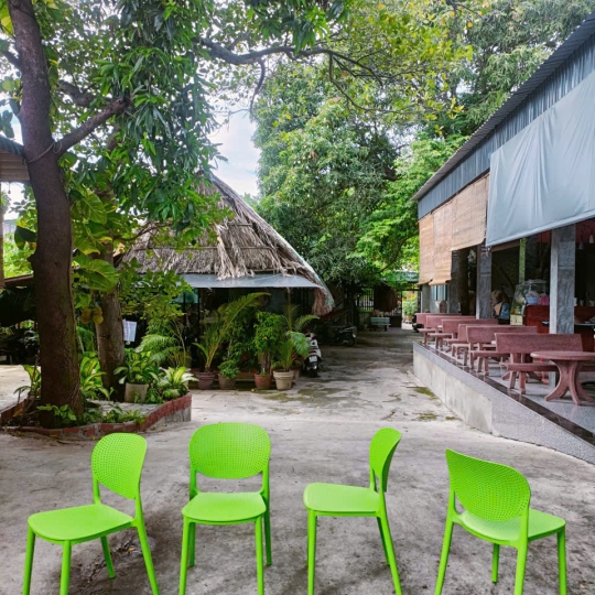 Ghế Nhựa Đúc DPS8