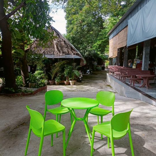 Ghế Nhựa Đúc DPS8