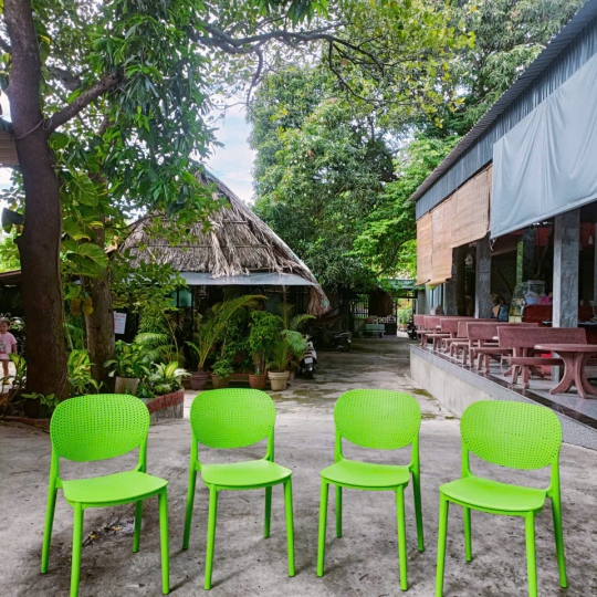 Ghế Nhựa Đúc DPS8